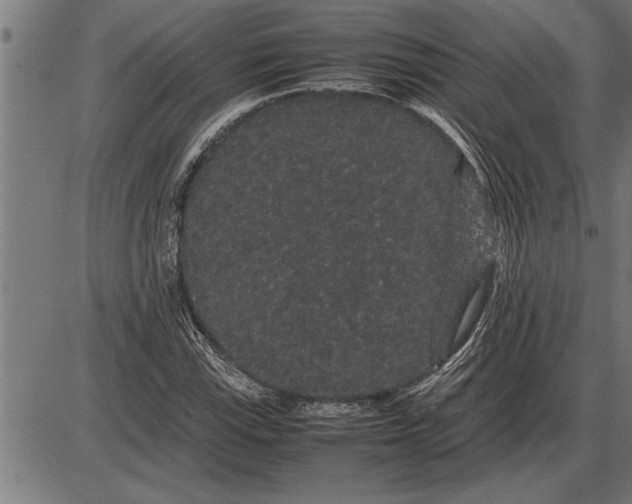 X0000086091115200704091319