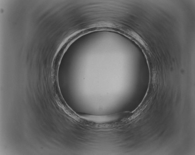 X0000086091116200704091319