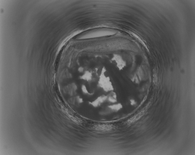 X0000086091117200704091319