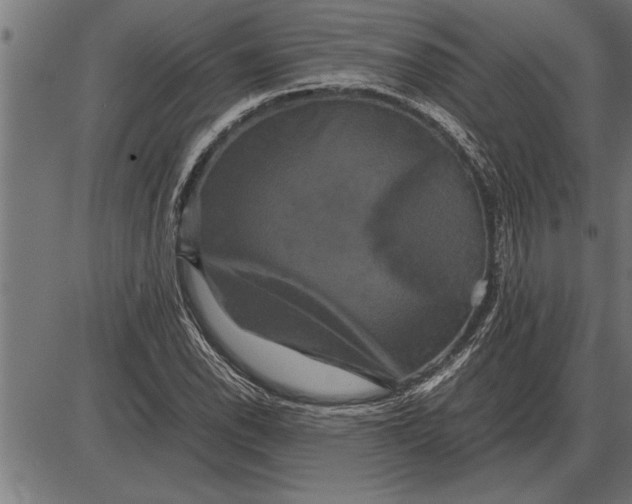 X0000086091118200704091319