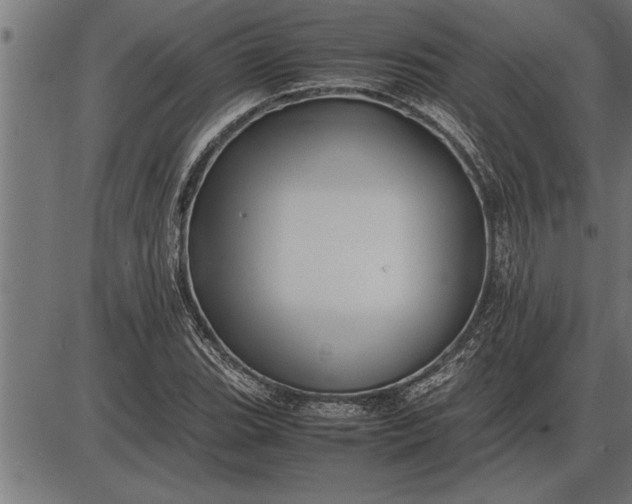 X0000086091119200704091319