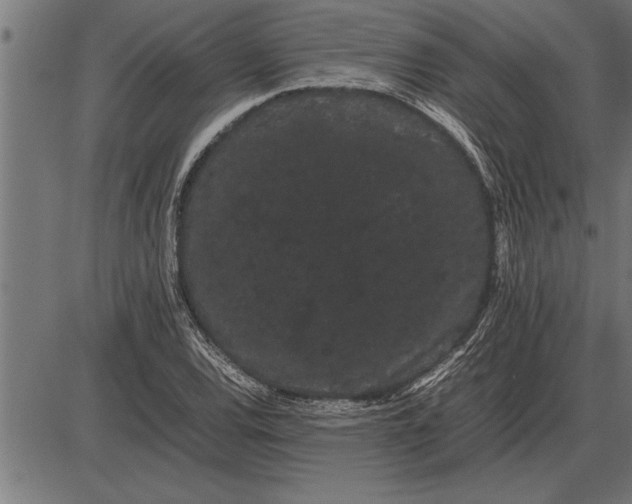 X0000086091120200704091319