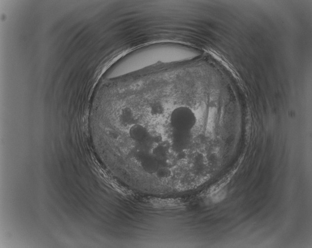 X0000086091121200704091320