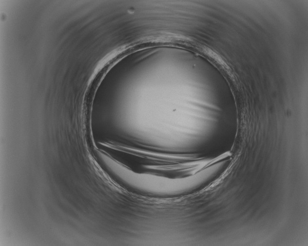 X0000086091122200704091320