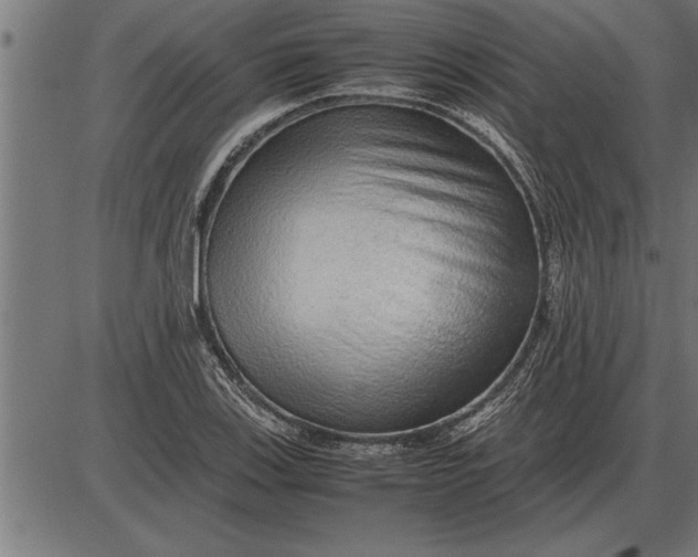 X0000086091123200704091320