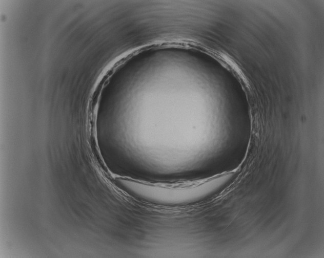 X0000086091124200704091320