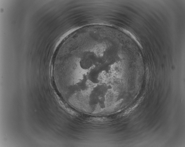 X0000086091125200704091320