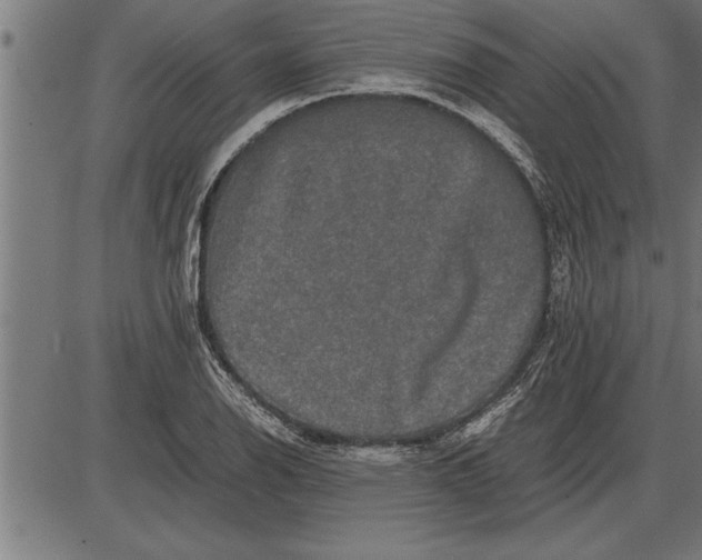 X0000086091126200704091320