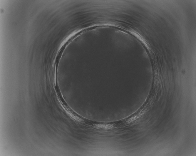 X0000086091127200704091320