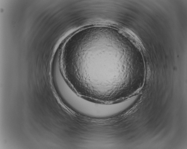 X0000086091128200704091320