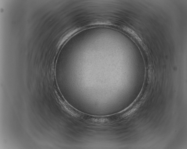 X0000086091129200704091320