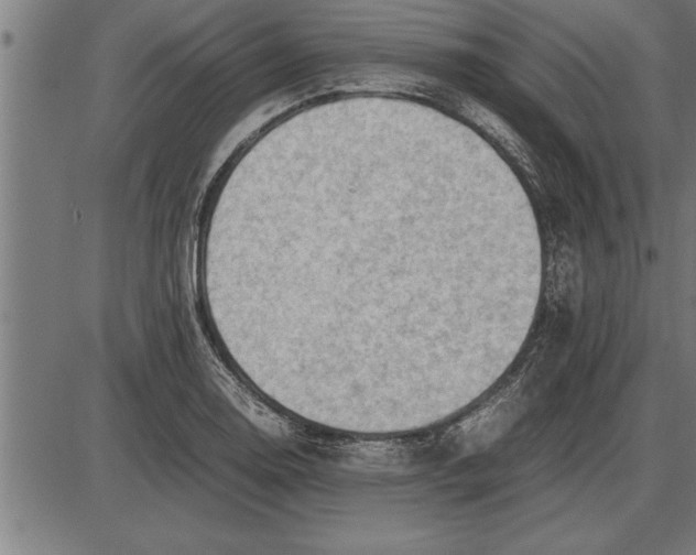 X0000086091130200704091320