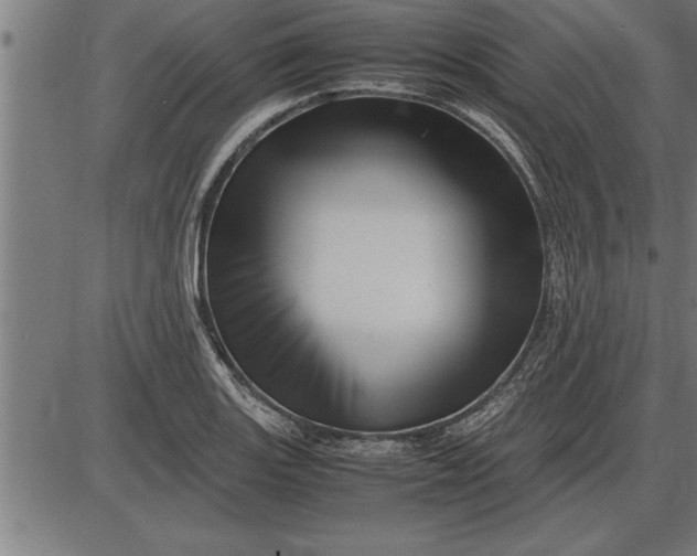 X0000086091131200704091320