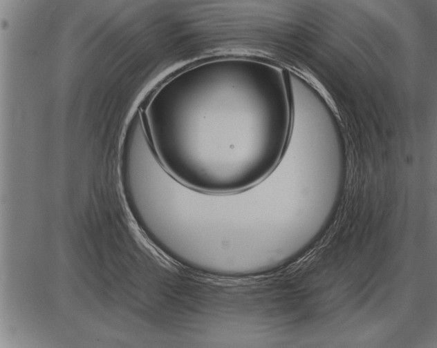 X0000086091132200704091320