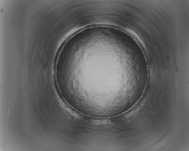 X0000086091133200704091320