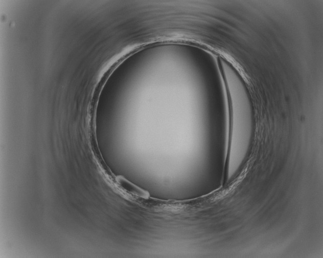 X0000086091134200704091320