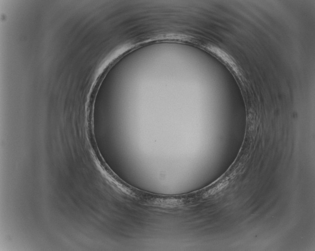 X0000086091135200704091320