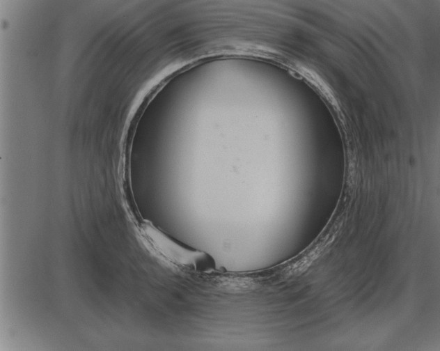 X0000086091136200704091320