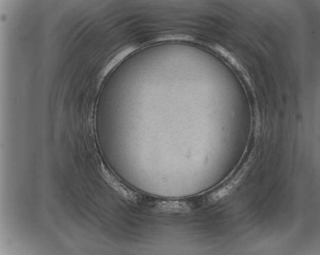 X0000086091137200704091320