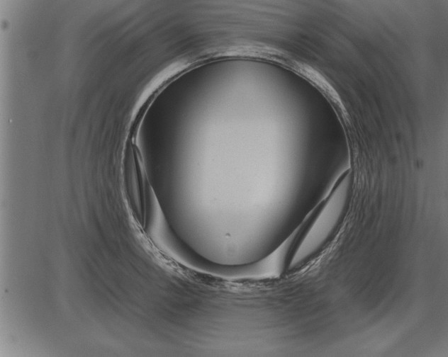 X0000086091138200704091320