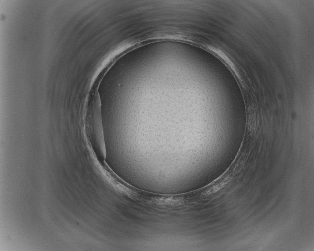 X0000086091139200704091320