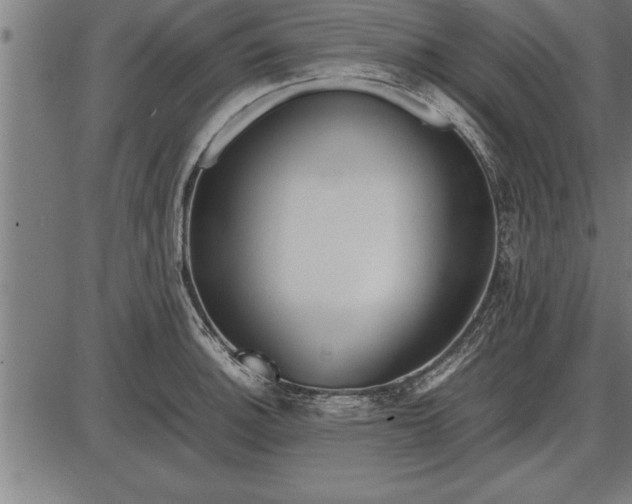 X0000086091140200704091320