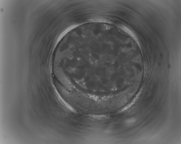 X0000086091141200704091320