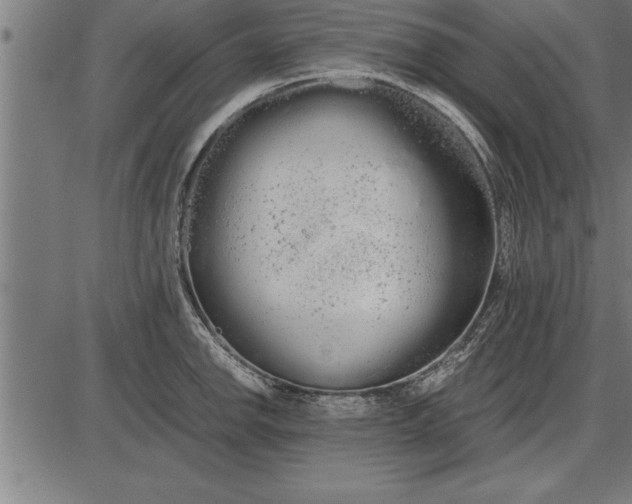 X0000086091142200704091320