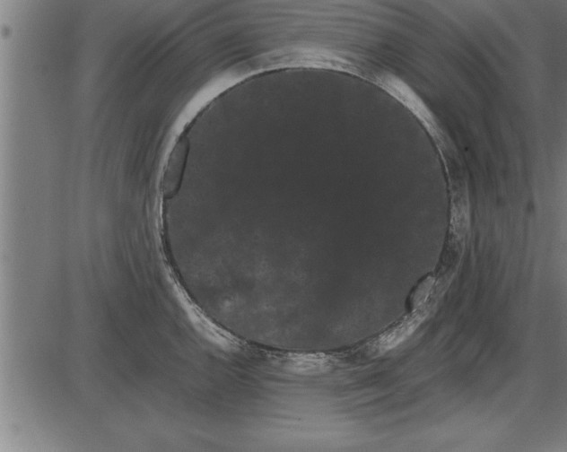 X0000086091144200704091320