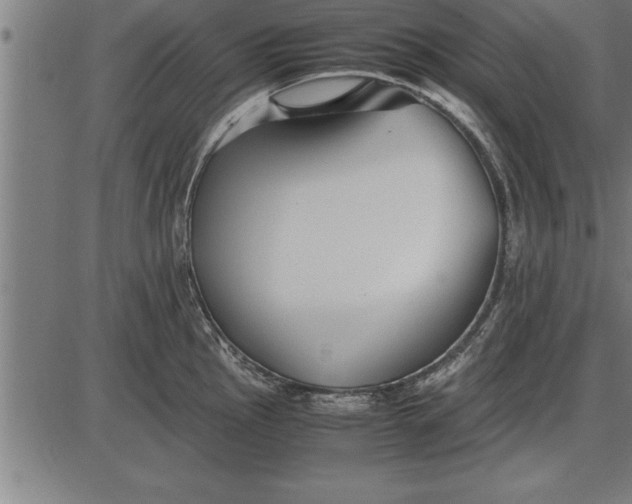 X0000086091145200704091320