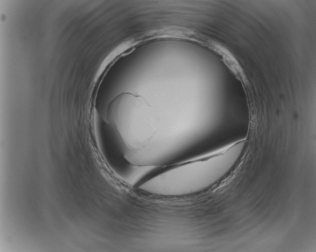 X0000086091146200704091320