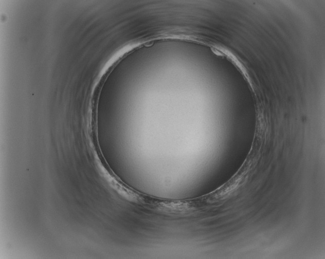 X0000086091147200704091320