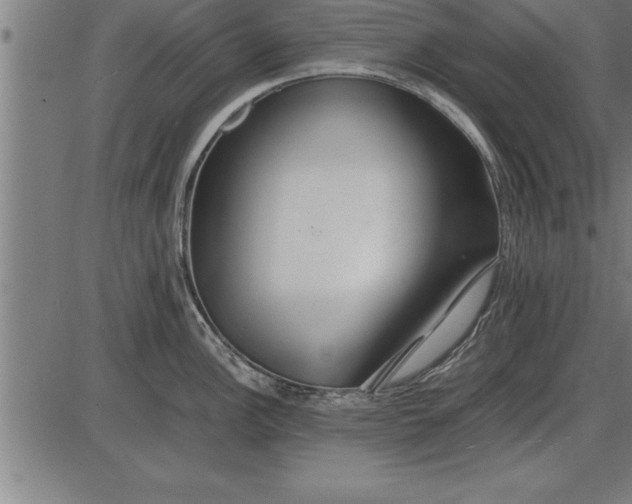 X0000086091148200704091320