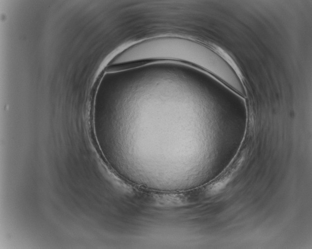 X0000086091149200704091320