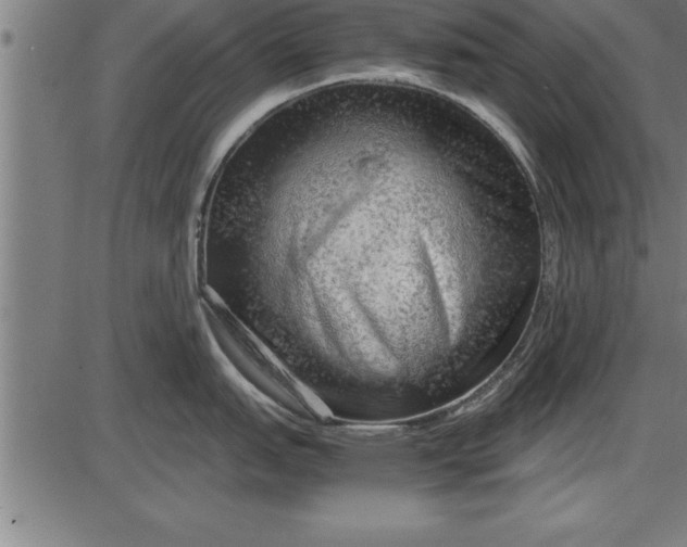 X0000086091151200704091320