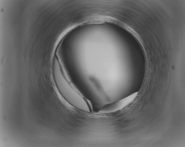 X0000086091152200704091320