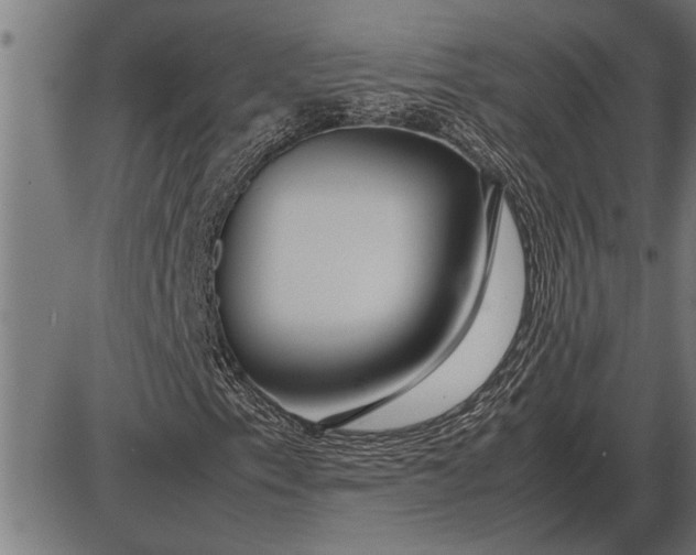 X0000086091153200704091319