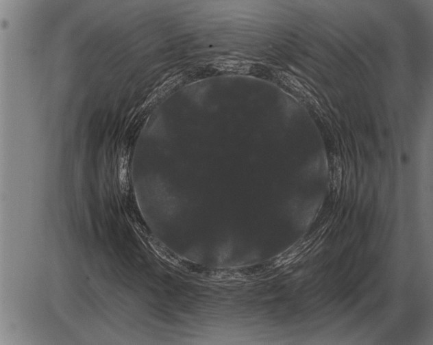 X0000086091154200704091319