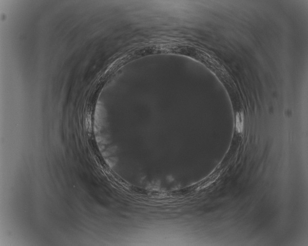 X0000086091155200704091319