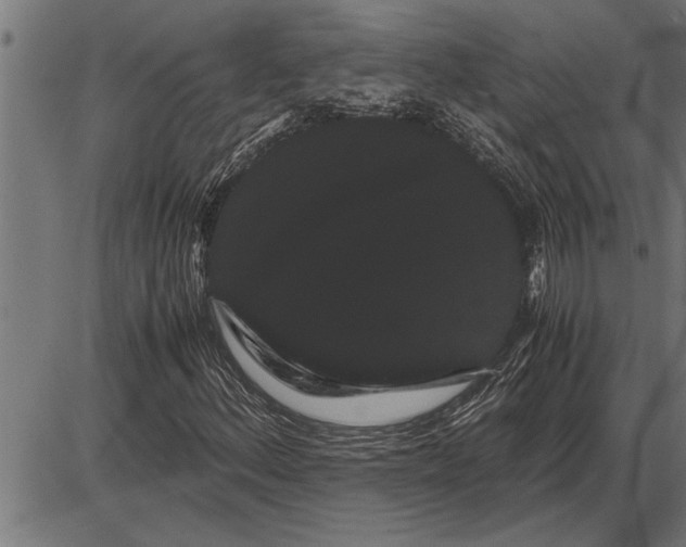 X0000086091156200704091319