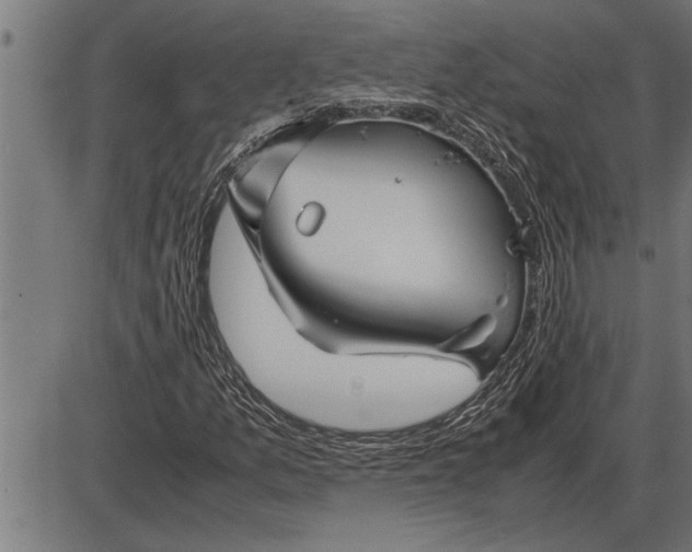 X0000086091157200704091319