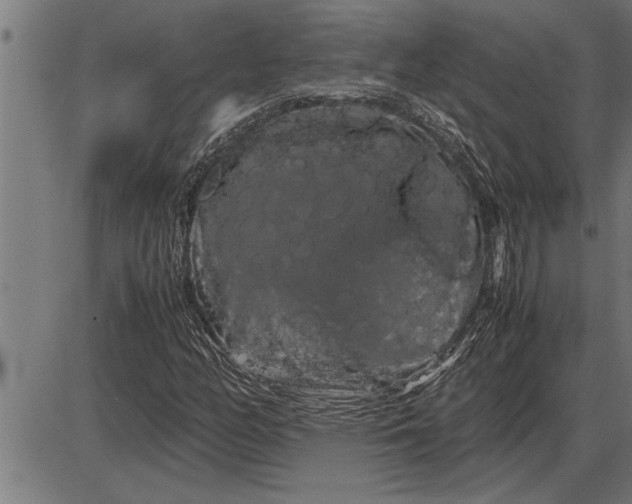 X0000086091158200704091319