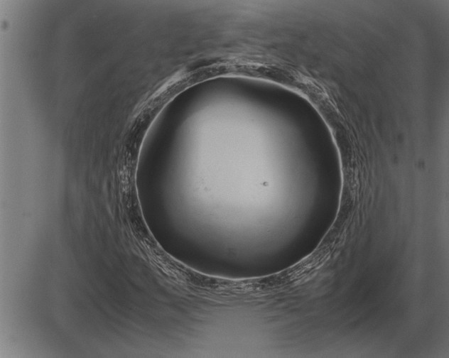 X0000086091159200704091319