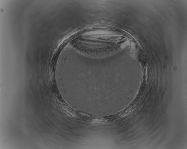 X0000086091160200704091319