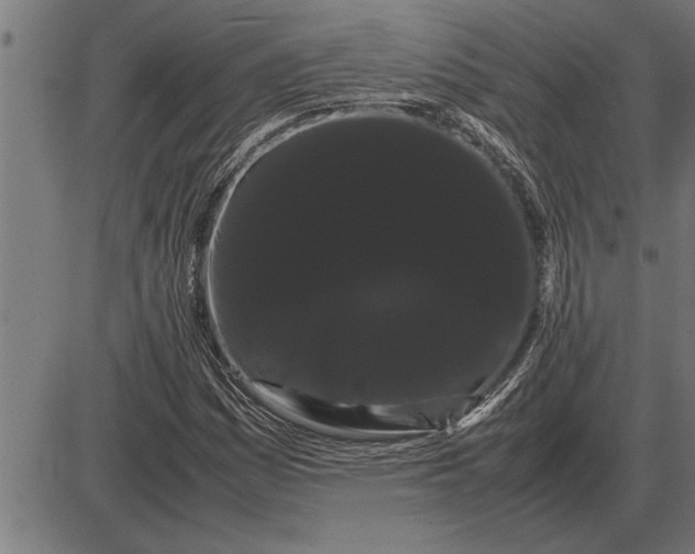 X0000086091161200704091319