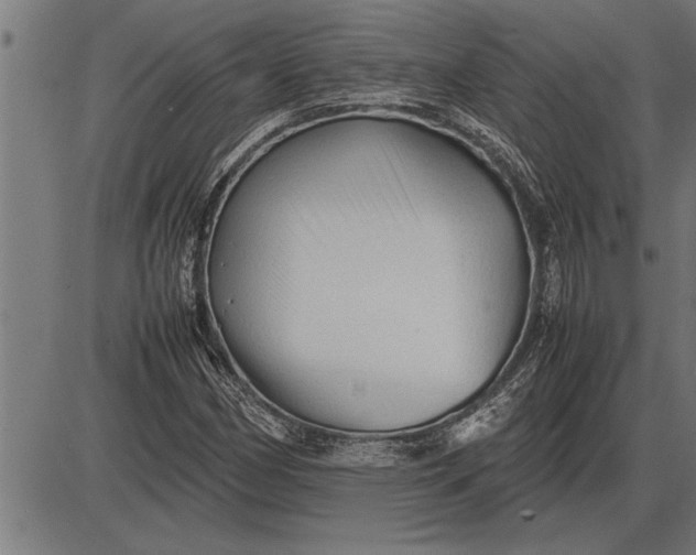 X0000086091162200704091319