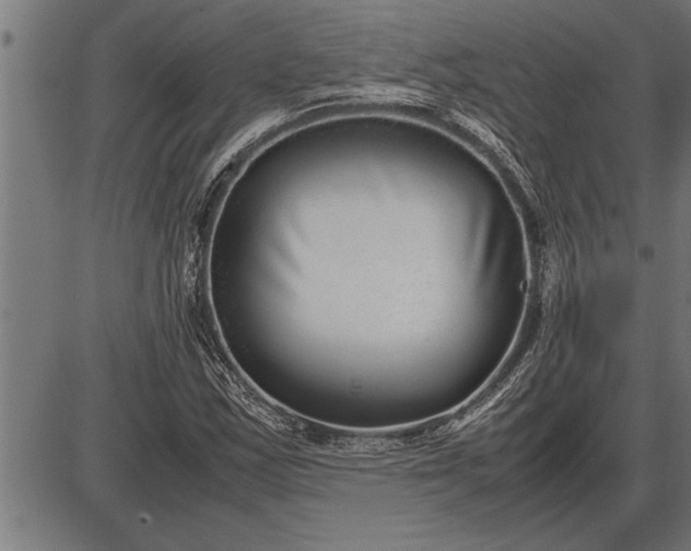 X0000086091163200704091319