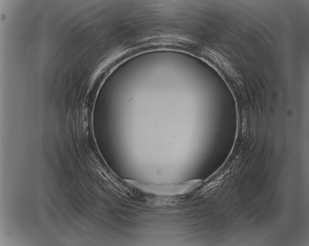 X0000086091164200704091319