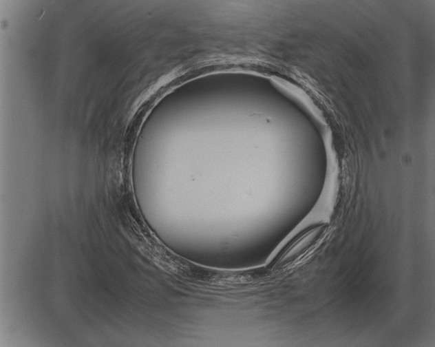 X0000086091165200704091319