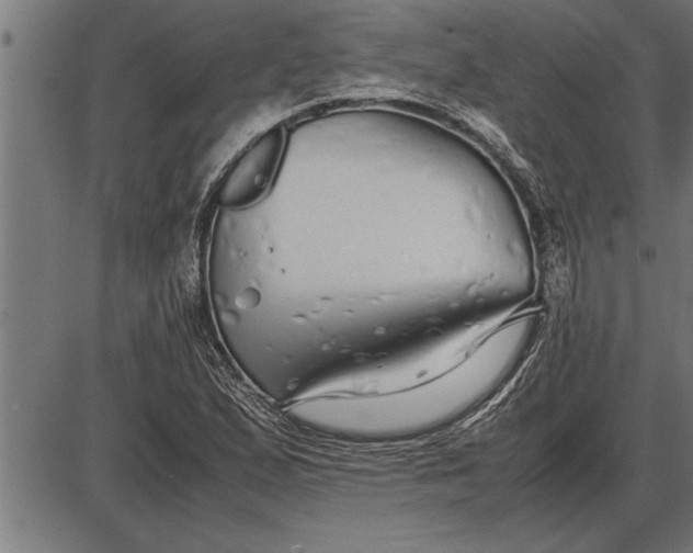 X0000086091167200704091319